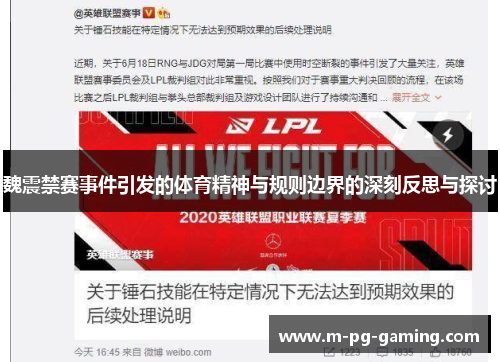 魏震禁赛事件引发的体育精神与规则边界的深刻反思与探讨